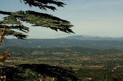 Gérard