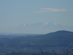 Canigou