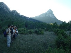 La face Nord -Est du Pic